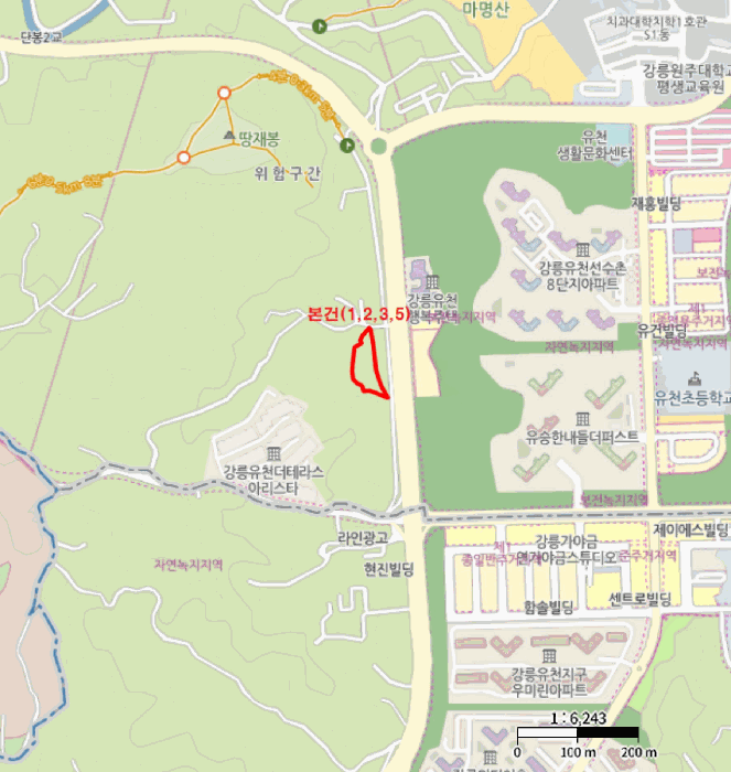 아반떼 사진