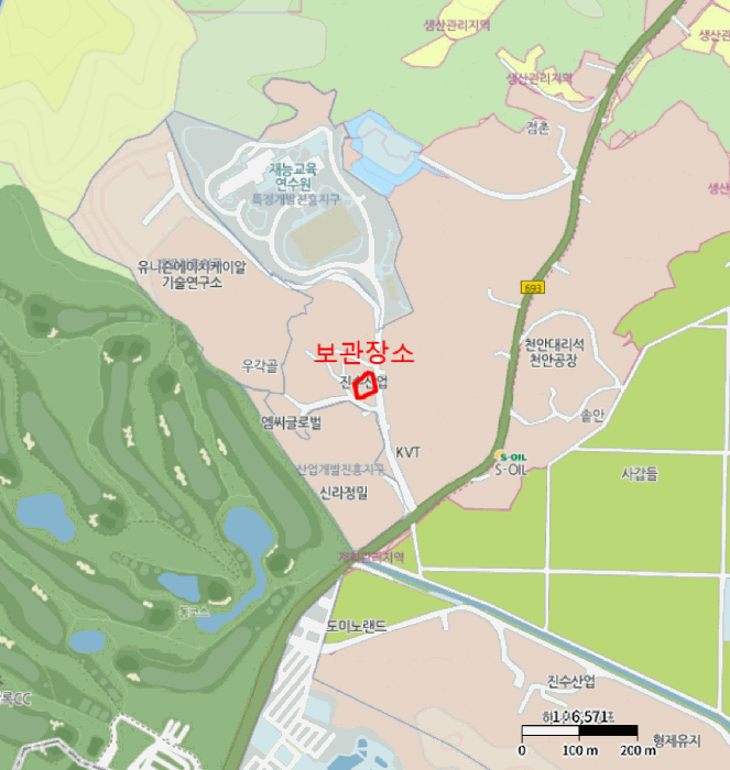 카니발 사진